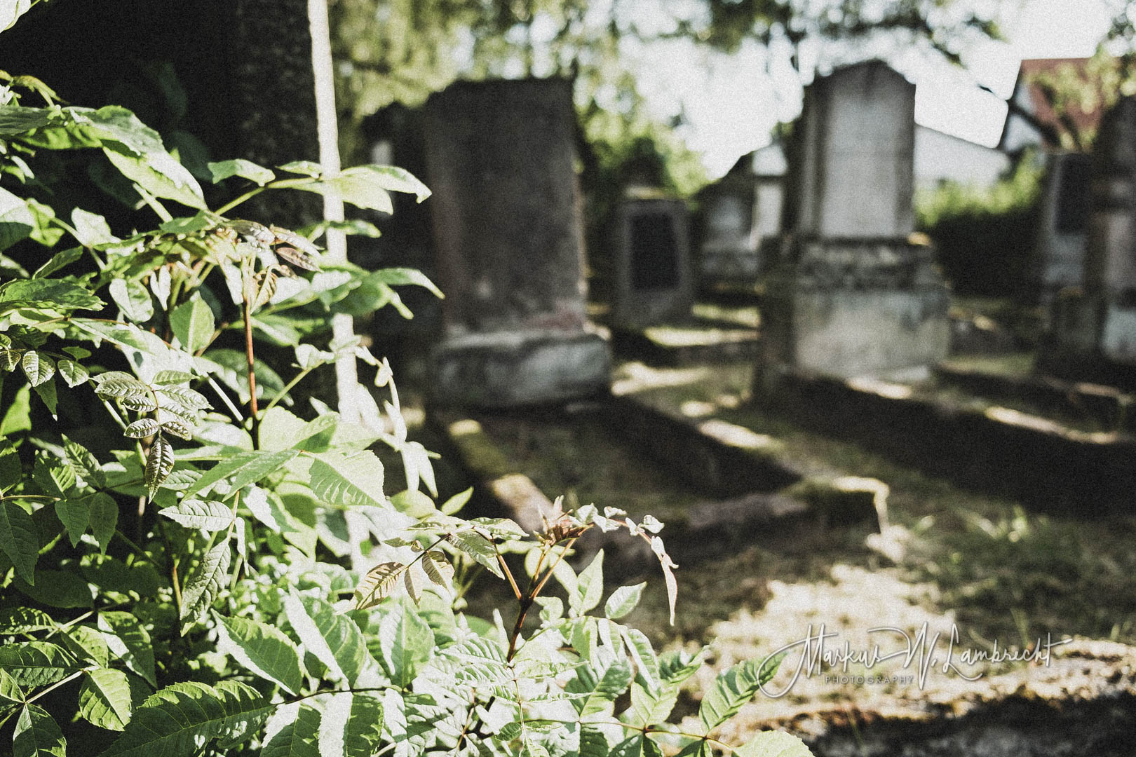 Grebenstein, Jüdischer Friedhof